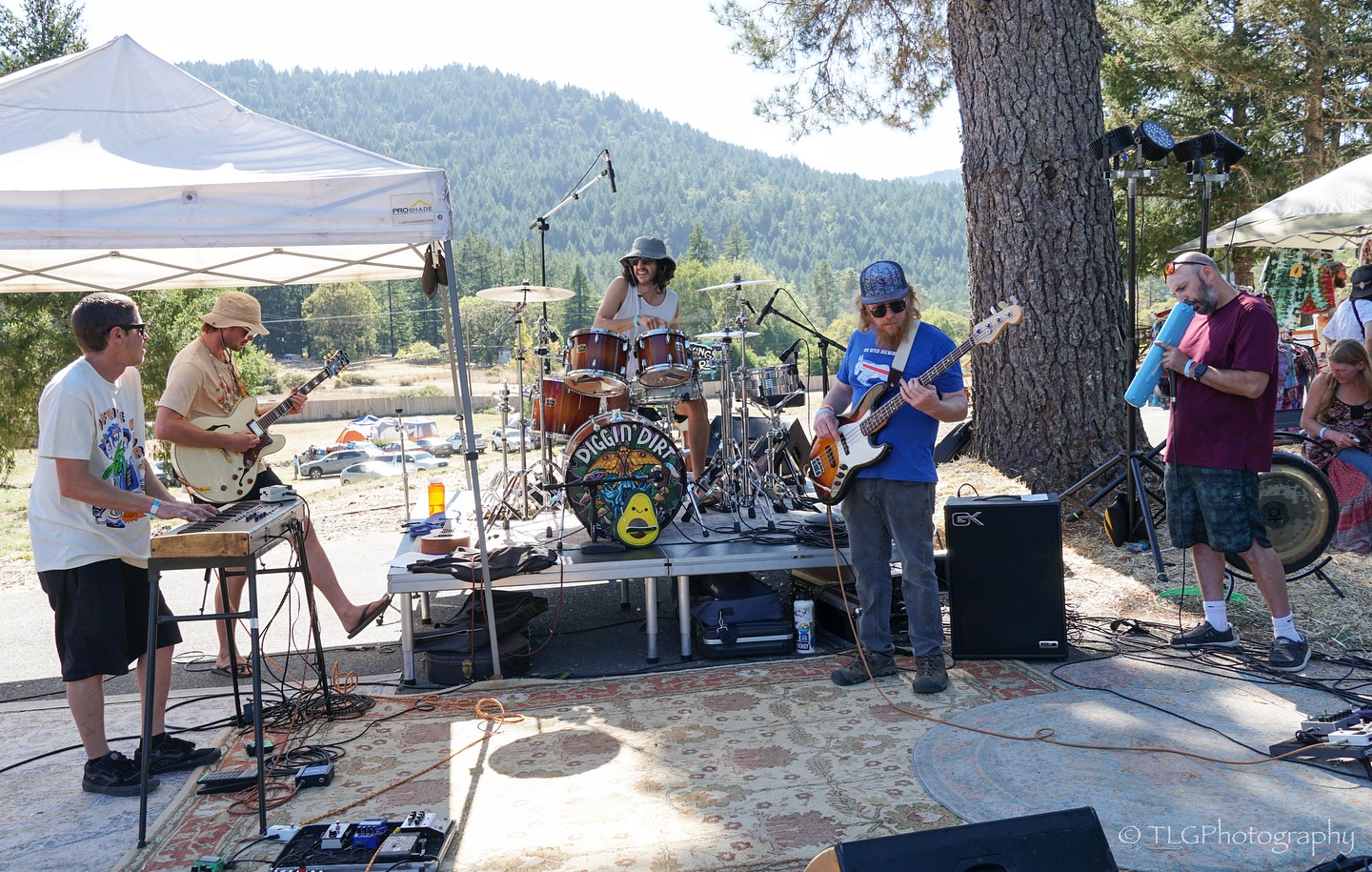 Wide Festival Performance Shot